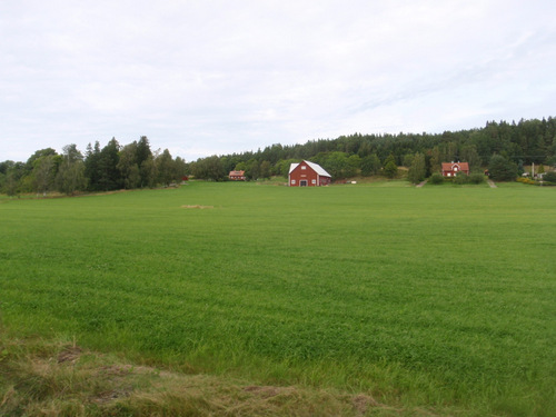 plenty of Barn Red Dwellings.